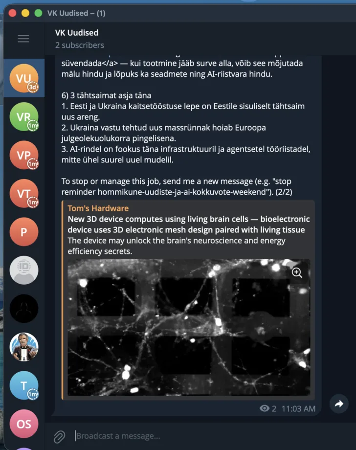 Hermes AI uudiste seire ja kokkuvõtte näide Telegramis